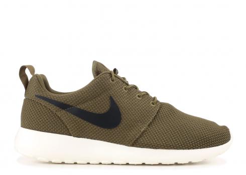 roshe run iguana