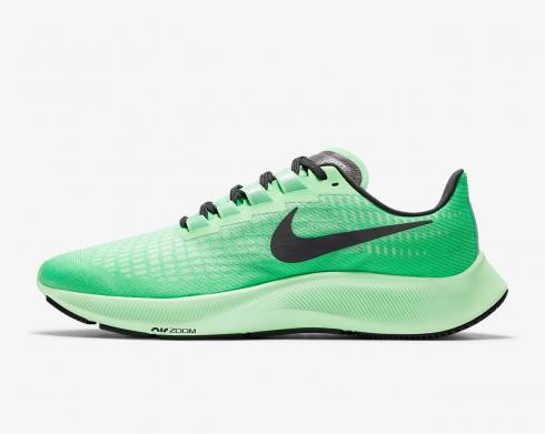 pegasus 37 poison green