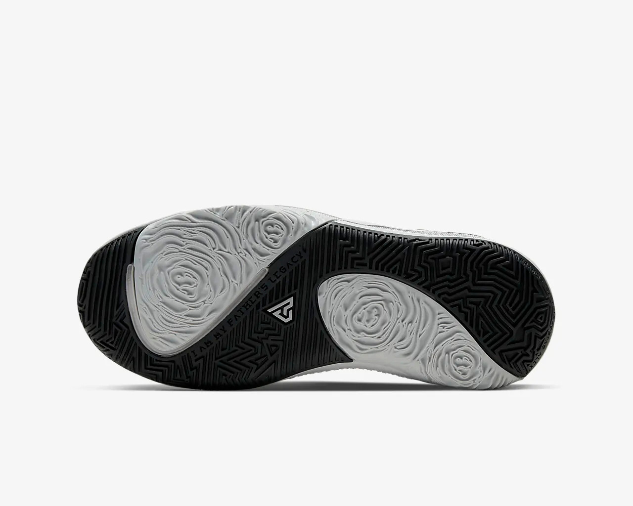 zoom freak 1 gold