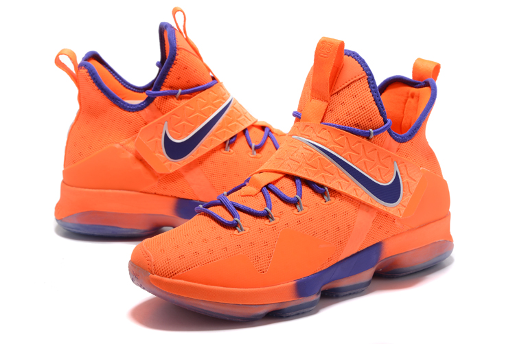 lebron 14 shoe