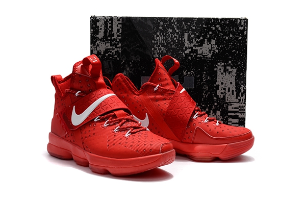 lebron 14 shoe