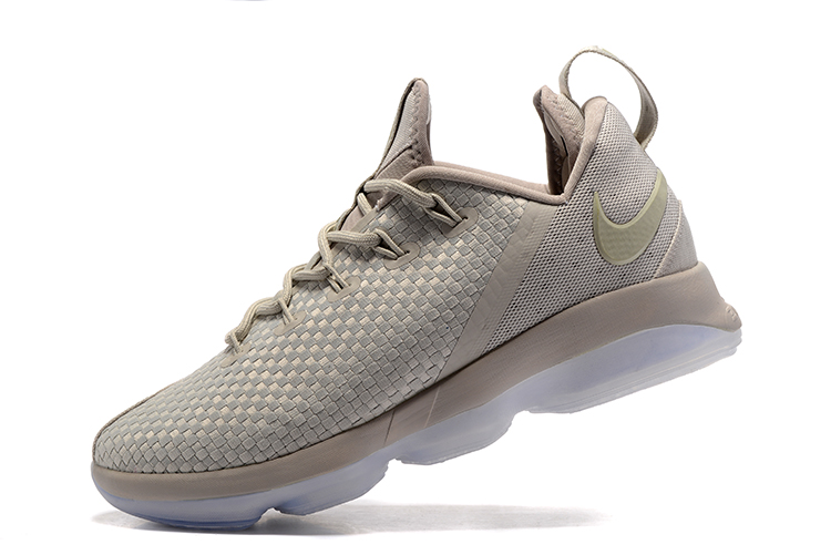 lebron 14 shoe