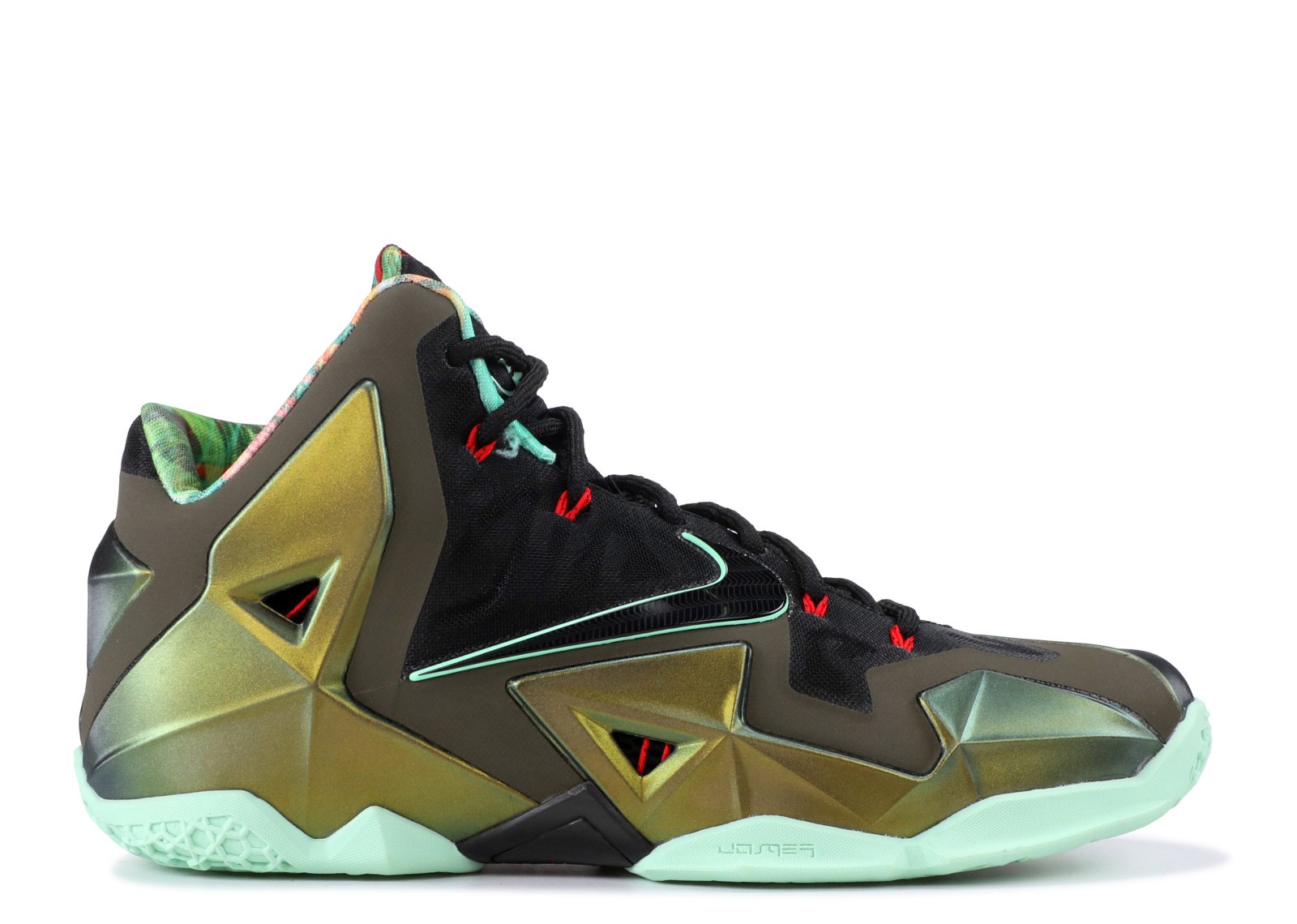 lebron 10 kings pride